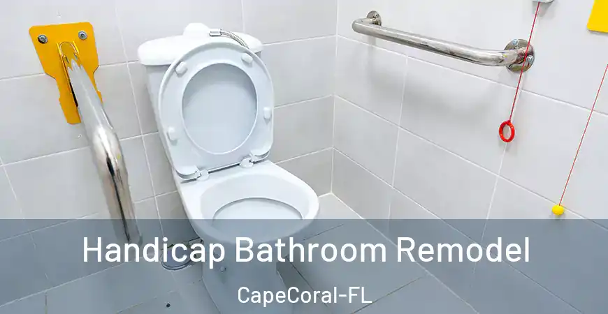 inner Bathroom imggen Handicap Bathroom Remodel CapeCoral-FL
