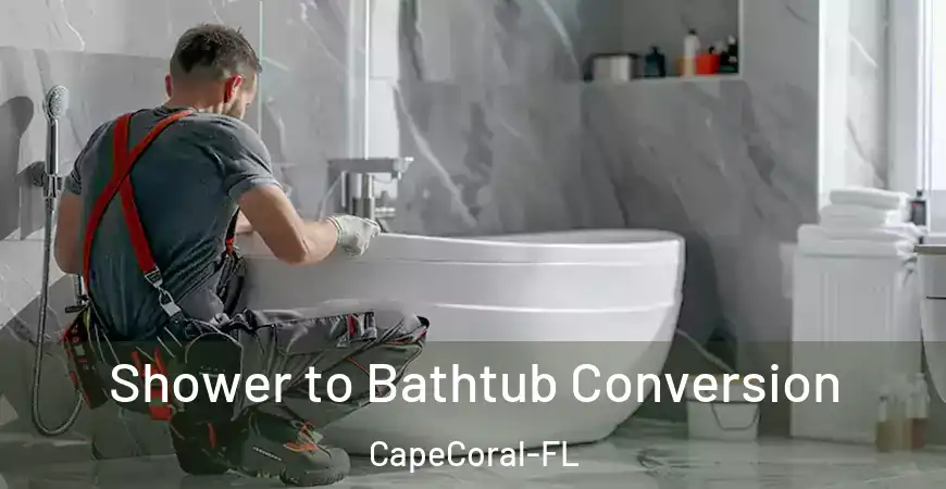 inner Bathroom imggen Shower to Bathtub Conversion CapeCoral-FL